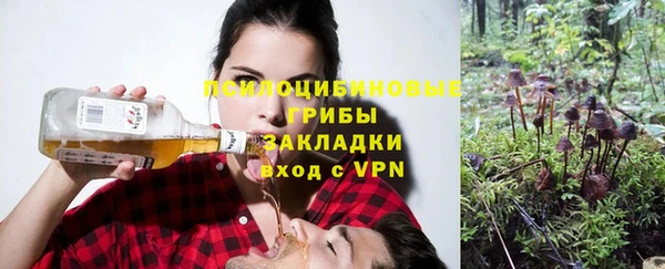 стафф Алексеевка