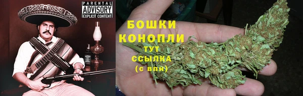 стаф Дубовка