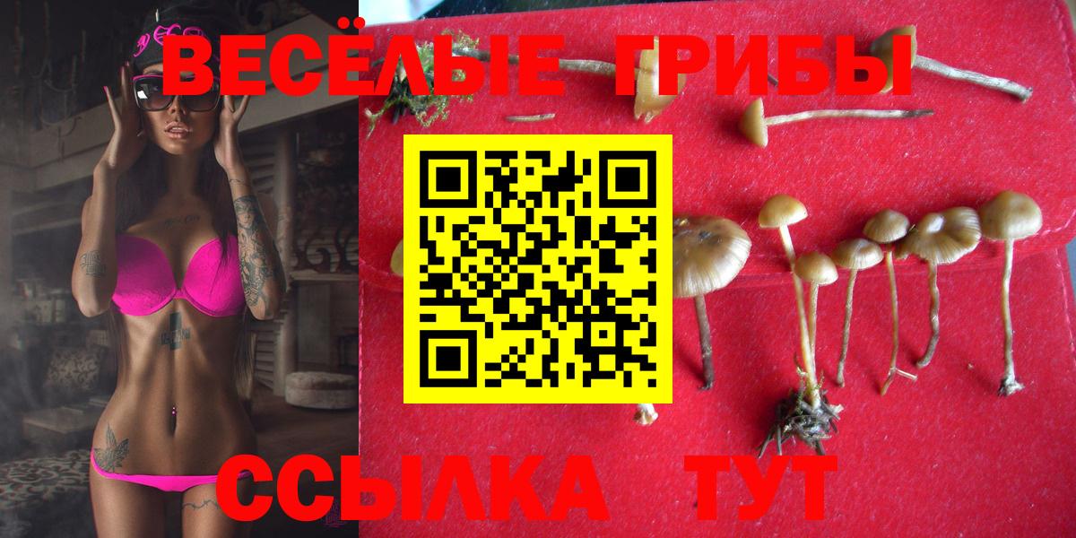 Галлюциногенные грибы Magic Shrooms Людиново
